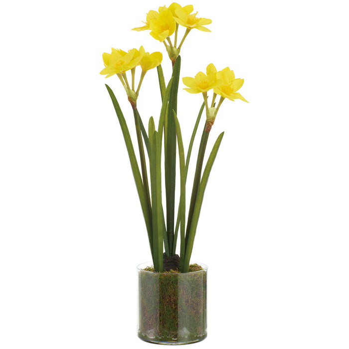 21" Daffodil Artificial Flower Arrangement w/Clear Plastic Pot -Yellow/White (Pack of 6) - LFD300-YE