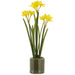 21" Daffodil Artificial Flower Arrangement w/Clear Plastic Pot -Yellow/White (Pack of 6) - LFD300-YE