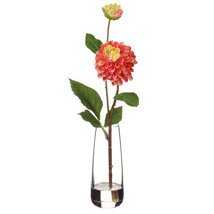 14" Silk Dahlia Flower Arrangement w/Glass Vase -Coral (pack of 4) - LFD533-CO