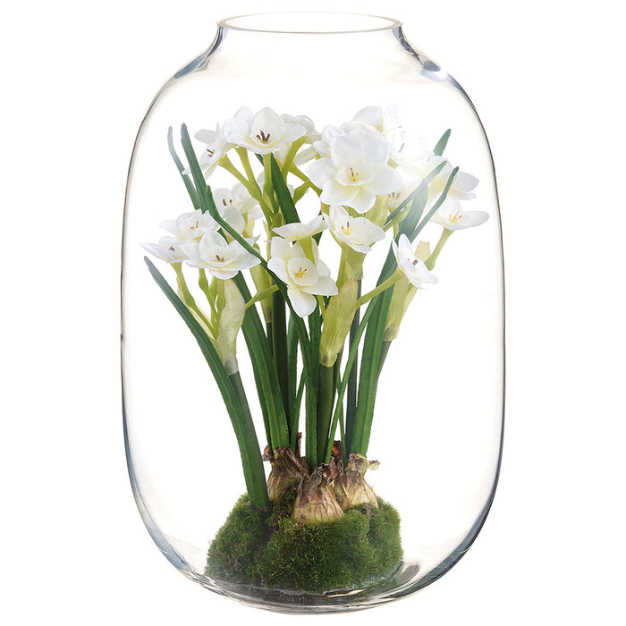 12" Daffodil Silk Flower Arrangement w/Glass Vase -White (Pack of 2) - LFD722-WH