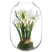 12" Daffodil Silk Flower Arrangement w/Glass Vase -White (Pack of 2) - LFD722-WH