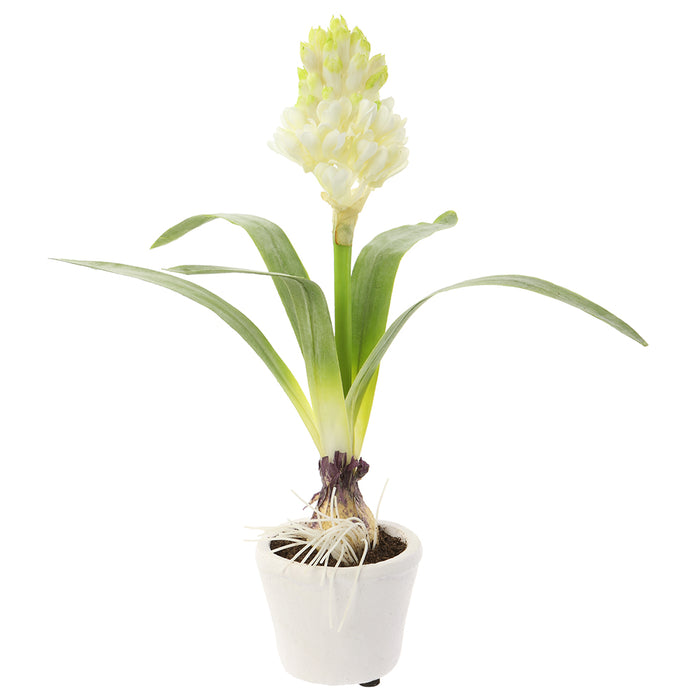 12" Silk Hyacinth With Bulb Flower Arrangement w/Magnesium Oxide Pot -White (pack of 6) - LFH109-WH