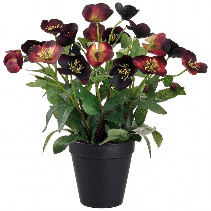 14" Helleborus Silk Flower Arrangement w/Plastic Pot -Plum - LFH123-PL