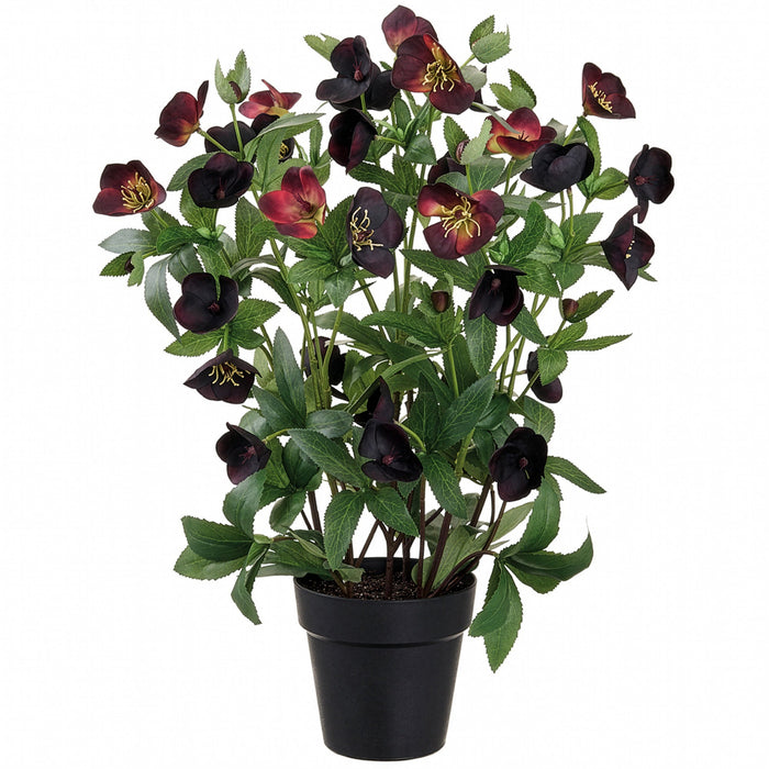 22" Helleborus Silk Flower Arrangement w/Plastic Pot -Plum - LFH124-PL