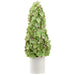 27" Cone-Shaped Silk Hydrangea Flower Arrangement Topiary w/Ceramic Vase -Green (pack of 2) - LFH273-GR