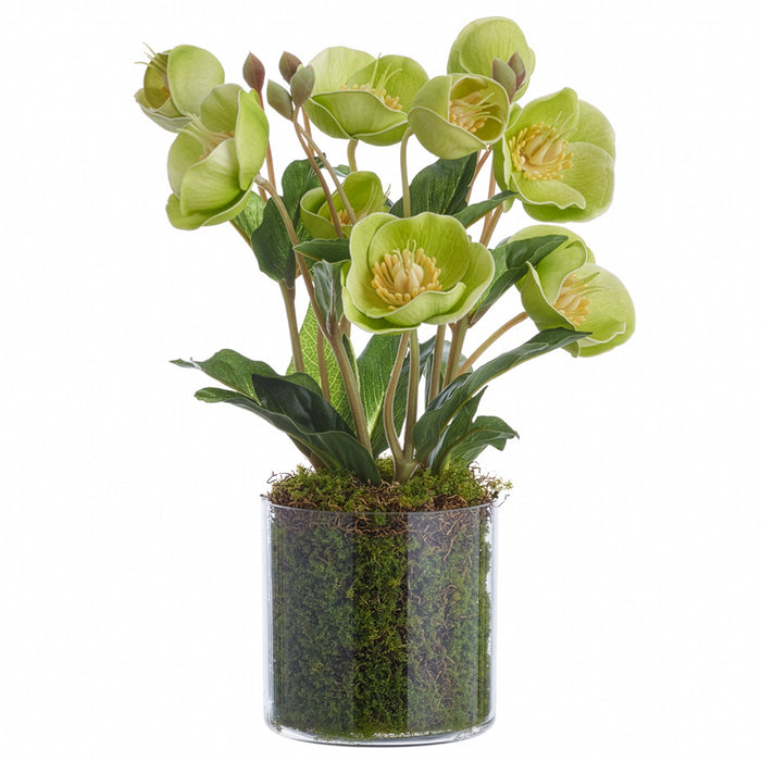 11" Helleborus Silk Flower Arrangement w/Clear Plastic Vase -Green (Pack of 12) - LFH391-GR