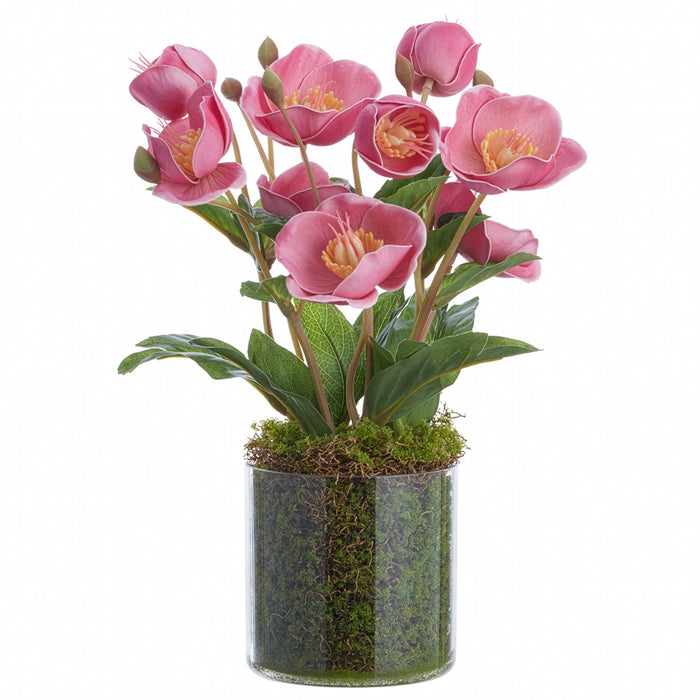 11" Helleborus Silk Flower Arrangement w/Clear Plastic Vase -Mauve (Pack of 12) - LFH391-MV