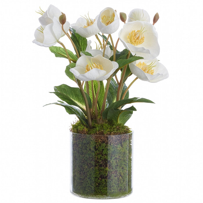 11" Helleborus Silk Flower Arrangement w/Clear Plastic Vase -White (Pack of 12) - LFH391-WH
