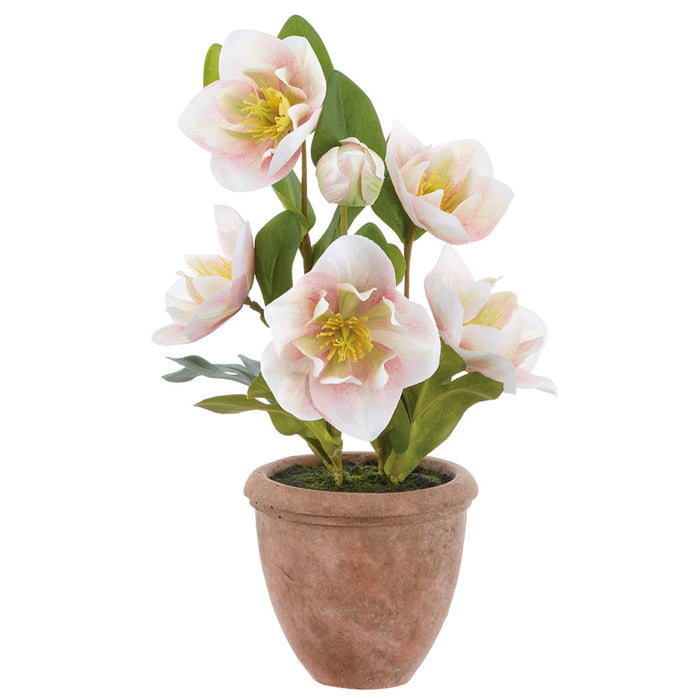12" Helleborus Silk Flower Arrangement w/Terra Cotta Pot -Pink/Green (Pack of 6) - LFH813-PK/GR