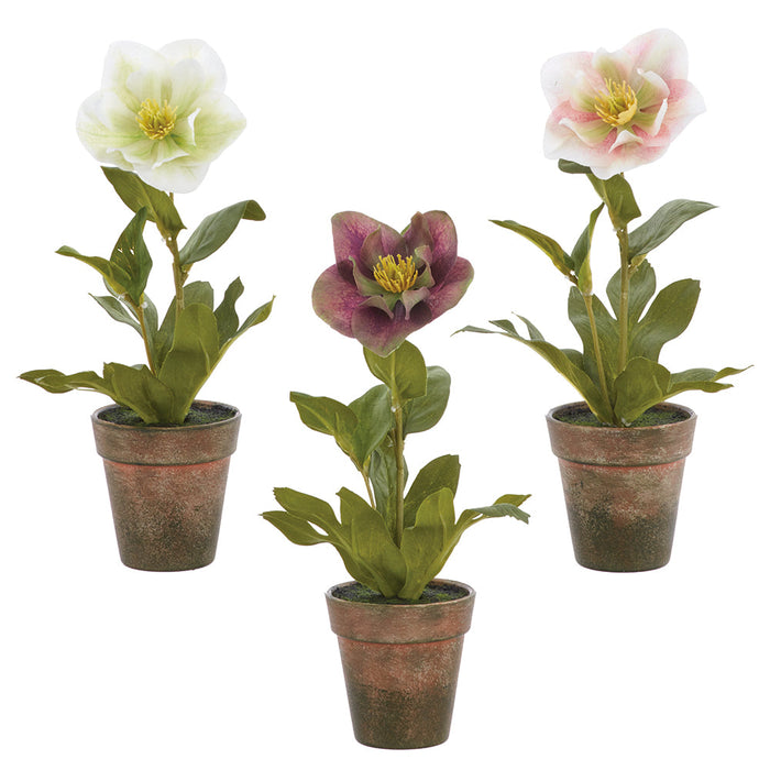 11" Set Of Helleborus Silk Flower Arrangements w/Plastic Pot -Mixed Colors (Pack of 2) - LFH821-MX