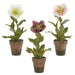 11" Set Of Helleborus Silk Flower Arrangements w/Plastic Pot -Mixed Colors (Pack of 2) - LFH821-MX