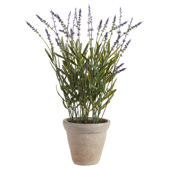 21" Lavender Silk Flower Arrangement w/Cement Pot -Lavender (Pack of 2) - LFL132-LV