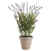 21" Lavender Silk Flower Arrangement w/Cement Pot -Lavender (Pack of 2) - LFL132-LV
