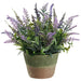 13" Lavender & Muscari Silk Flower Arrangement w/Cement Pot -Lavender/Purple - LFL362-LV/PU