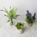 12.5" Silk Lavender Flower & Fern Arrangement w/Glass Vase -Purple (pack of 12) - LFL377-PU