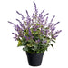 25" Lavender Silk Flower Arrangement w/Plastic Pot -Lavender - LFL477-LV