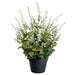 25" Lavender Silk Flower Arrangement w/Plastic Pot -White - LFL477-WH