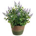 15" Muscari Silk Flower Arrangement w/Cement Pot -Lavender/Purple - LFM190-LV/PU