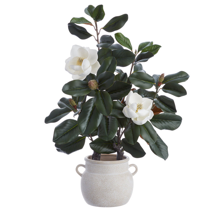 36" Magnolia Silk Flower Arrangement w/Terra Cotta Vase -White - LFM223-WH
