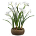 22" Silk Narcissus Daffodil Flower Arrangement & Bulb w/Cement Pot -White (pack of 2) - LFN046-WH