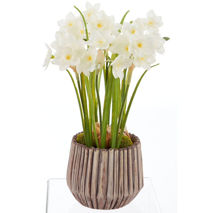 14" Narcissus Daffodil With Bulb Silk Flower Arrangement w/Cement Pot -White (Pack of 4) - LFN204-WH