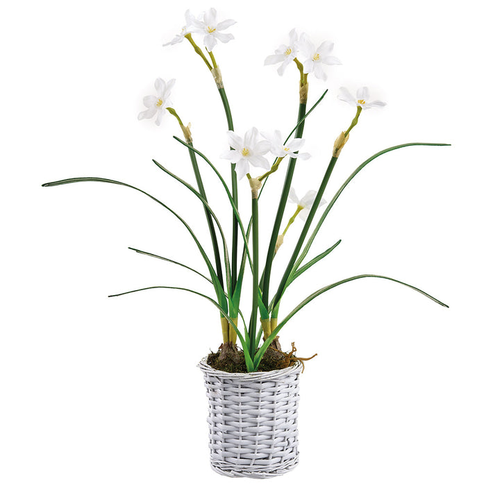 24" Narcissus Silk Flower Arrangement w/Basket -White (Pack of 4) - LFN500-WH