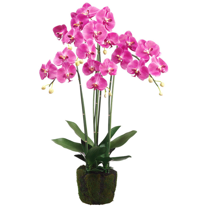 35" Phalaenopsis Orchid Silk Flower Arrangement w/Soil & Moss Base -2 Tone Orchid - LFO005-OC/TT