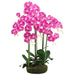 39" Phalaenopis Orchid Silk Flower Arrangement w/Soil & Moss Base -2 Tone Orchid - LFO006-OC/TT