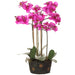 31" Phalaenopis Orchid Silk Flower Arrangement w/Soil & Moss Base -Orchid (pack of 2) - LFO022-OC