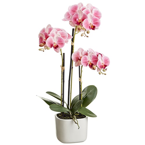 25" Silk Phalaenopsis Orchid Flower Arrangement w/Terra Cotta Pot -2 Tone Pink (pack of 4) - LFO024-PK/TT