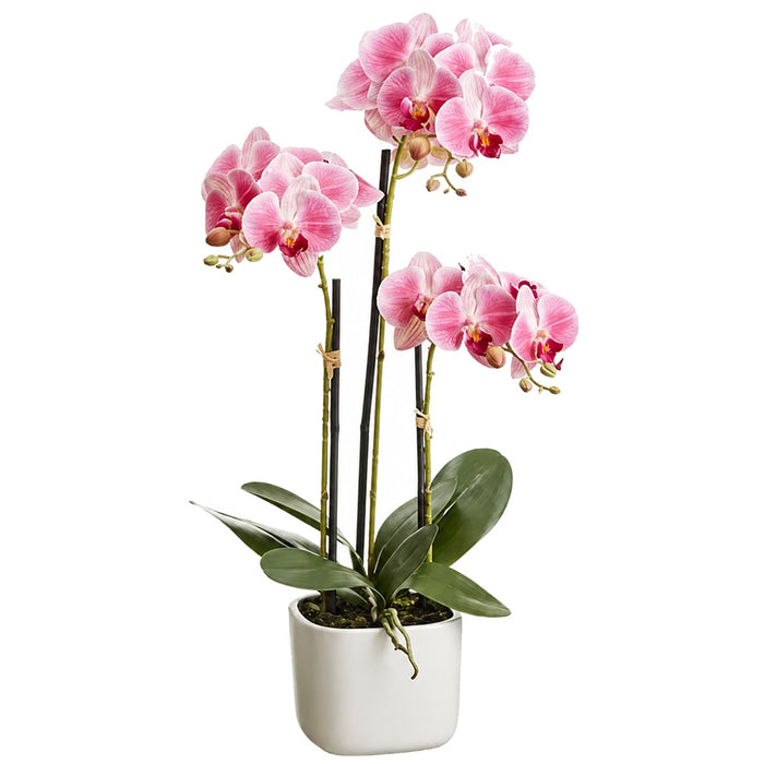 25" Silk Phalaenopsis Orchid Flower Arrangement w/Terra Cotta Pot -2 Tone Pink (Pack of 4) - LFO024-PK/TT
