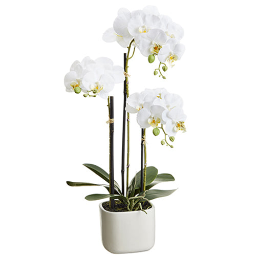 25" Silk Phalaenopsis Orchid Flower Arrangement w/Terra Cotta Pot -White (pack of 4) - LFO024-WH