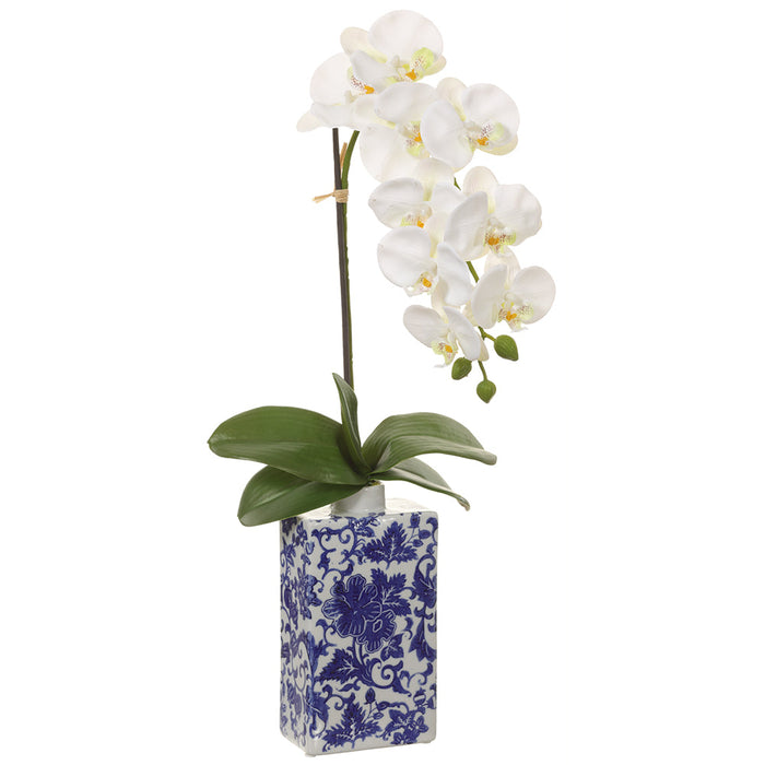 26" Phalaenopis Orchid Silk Flower Arrangement w/Ceramic Vase -Cream (pack of 2) - LFO041-CR