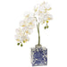 20" Phalaenopis Orchid Silk Flower Arrangement w/Ceramic Vase -Cream (pack of 2) - LFO042-CR