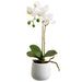 15" Silk Phalaenopsis Orchid Flower Arrangement w/Ceramic Pot -White (pack of 6) - LFO065-WH