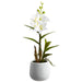 15" Silk Dendrobium Orchid Flower Arrangement w/Ceramic Pot -White (pack of 6) - LFO086-WH