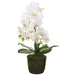 19" Silk Phalaenopsis Orchid Flower Arrangement w/Soil & Moss -White (pack of 2) - LFO091-WH