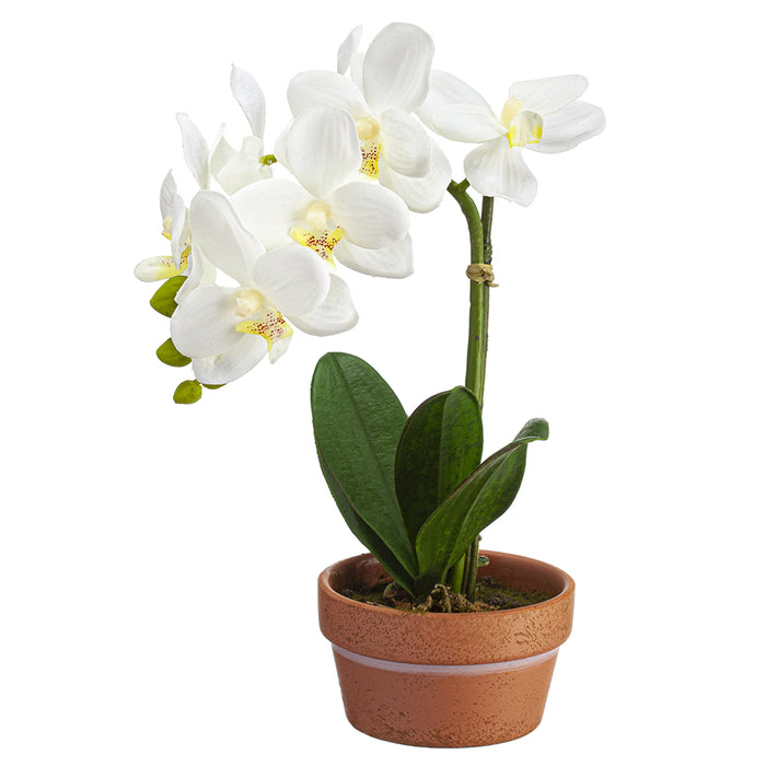11" Silk Phalaenopsis Orchid Flower Arrangement w/Terra Cotta Pot -White (pack of 4) - LFO123-WH