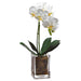 17" Silk Mini Phalaenopsis Orchid Flower Arrangement w/Glass Vase -White (pack of 2) - LFO163-WH