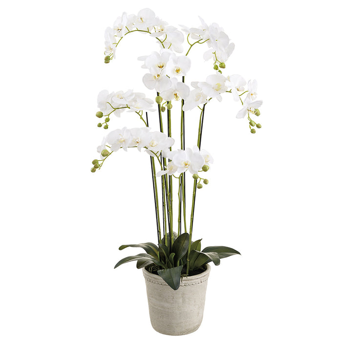 16" Phalaenopsis Orchid Silk Flower Arrangement w/Cement Planter -White - LFO180-WH
