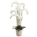 16" Phalaenopsis Orchid Silk Flower Arrangement w/Cement Planter -White - LFO180-WH