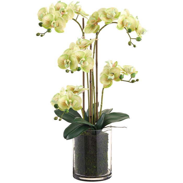 27" Phalaenopsis Orchid Silk Flower Arrangement w/Glass Vase -Green (Pack of 2) - LFO210-GR