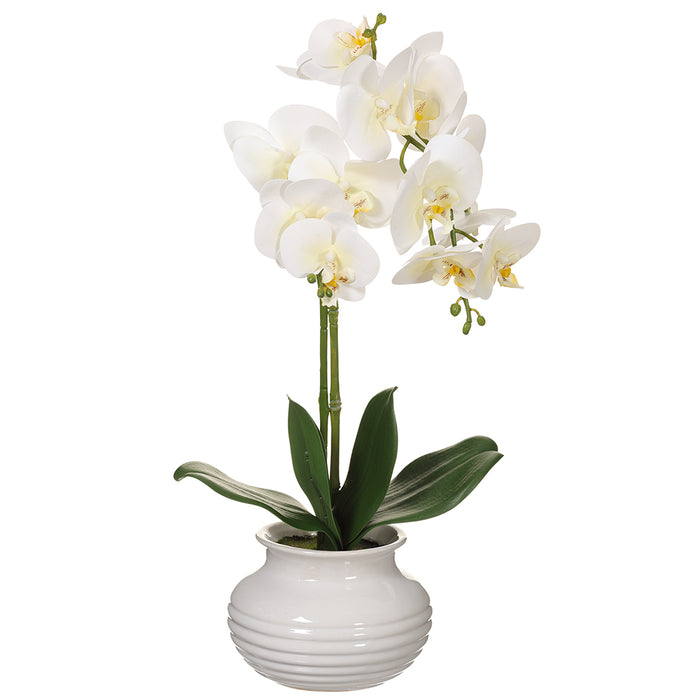 21" Silk Phalaenopsis Orchid Flower Arrangement w/Ceramic Pot -White (pack of 2) - LFO234-WH