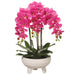 22" Artificial Phalaenopsis Orchid Flower Arrangement w/Ceramic Pot -Orchid (pack of 2) - LFO235-OC