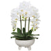22" Artificial Phalaenopsis Orchid Flower Arrangement w/Ceramic Pot -White (pack of 2) - LFO235-WH