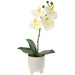 12" Silk Phalaenopsis Orchid Flower Arrangement w/Ceramic Pot -White (pack of 6) - LFO241-WH