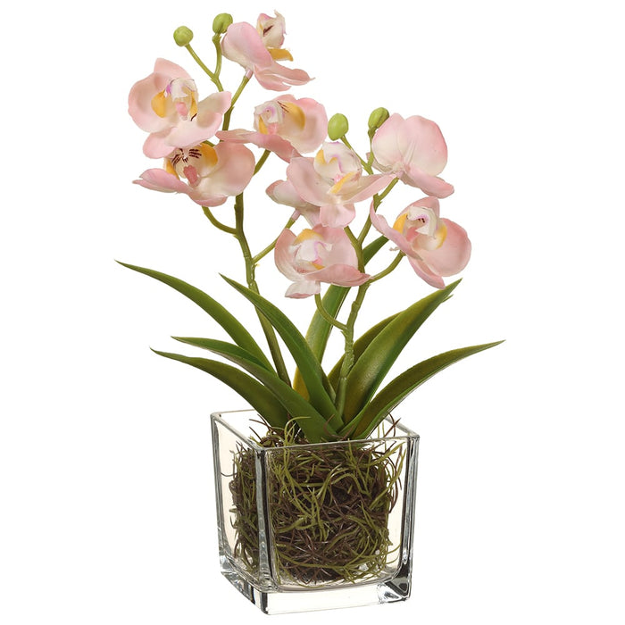 11" Silk Phalaenopsis Orchid Flower Arrangement w/Glass Vase -Blush (pack of 12) - LFO267-BS