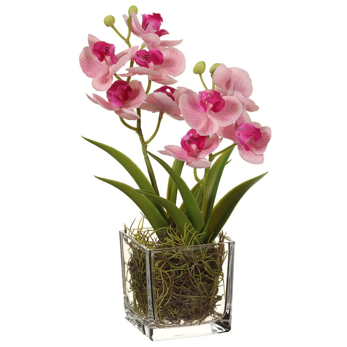 11" Silk Phalaenopsis Orchid Flower Arrangement w/Glass Vase -Orchid (pack of 12) - LFO267-OC