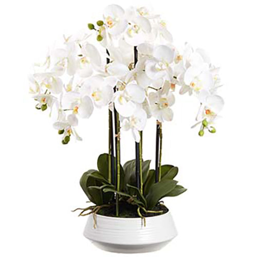 25" Phalaenopsis Orchid Silk Flower Arrangement w/Ceramic Vase -White - LFO280-WH
