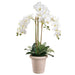 36" Phalaenopsis Orchid Silk Flower Arrangement w/Terra Cotta Pot -White/Green - LFO292-WH/GR